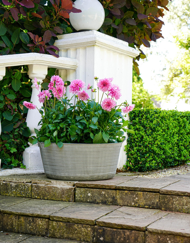 Metal Planters