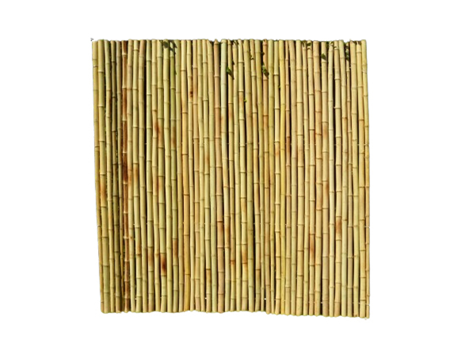Bamboo panels and Fencing Bamboo panels and Fencing
