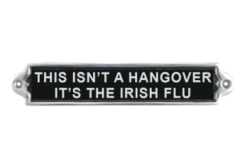 "This isn't a Hangover It's the Irish Flu" Wall Plaque - Aluminium - L1 x W25 x H6 cm