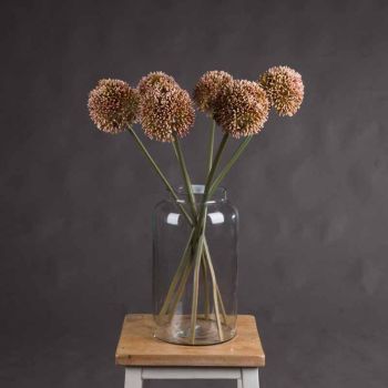 Allium Artificial Plant - Plastic - L10 x W10 x H63 cm - Pink