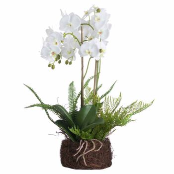 Large Orchid and Fern Garden in Rootball Artificial Flower - Plastic - L52 x W52 x H57 cm - White