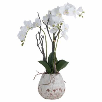 Orchid in Stone Pot Artificial Flower - Plastic - L46 x W46 x H70 cm - White