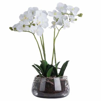 Orchid in Glass Pot Artificial Flower - Plastic - L21 x W21 x H61 cm - White