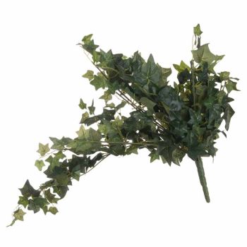 Ivy Pick Artificial Plant - L15 x W30 x H85 cm