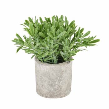 Buxus Plant in Stone Effect Pot Artificial Plant - Plastic - L14 x W14 x H20 cm - Green