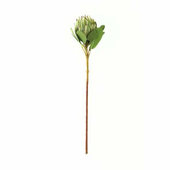 Large Protea Artificial Plant - Plastic - L21 x W21 x H73 cm - Green
