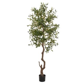 Calabria Large Olive Tree - Plastic - L17 x W17 x H180 cm - Green