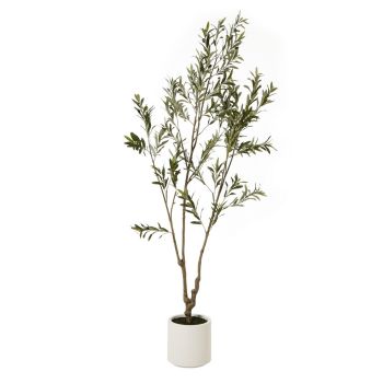 Apulia Olive Tree in Pot 210 cm - Plastic - Height 210 cm - Brown/White 