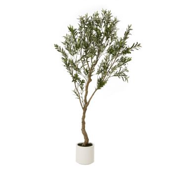 Apulia Olive Tree Pot - Plastic - Height 200 cm