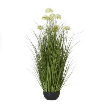 Allium Plant in Pot - Plastic - L17 x W17 x H70 cm - White