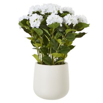 Large Hydrangea Plant in Pot - Plastic - L63 x W63 x H79 cm - White