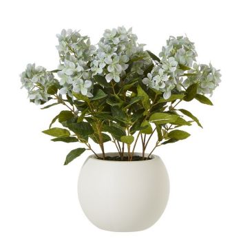 Medium Hydrangea Plant in Pot - Plastic - L51 x W51 x H58 cm - Green