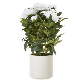 Large Peony Plant in Pot - Plastic - L46 x W46 x H71 cm - White