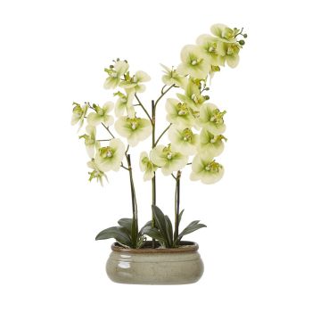 Large Green Orchid Pot - Ceramic/Plastic - L9 x W52 x H73 cm