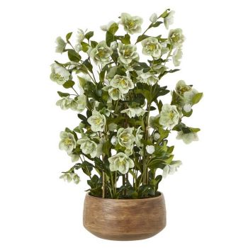 Large Hellebore in Pot - Plastic - L52 x W52 x H85 cm - Green/Taupe