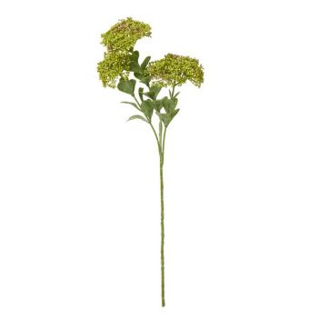 Sedum Spray (Single Stem Flower) - Plastic - Height 58 cm - Green