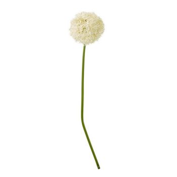 Giant Allium (Single Stem Flower) - Plastic - Height 90 cm - Cream