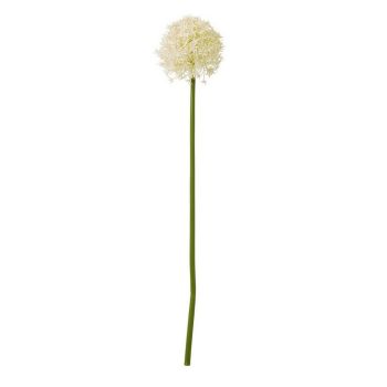 Medium Allium (Single Stem Flower) - Plastic - L16 x W16 x H80 cm - Cream