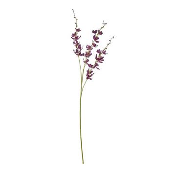 Cymbidium Spray (Single Stem Flower) - Plastic - L10 x W24 x H95 cm - Purple