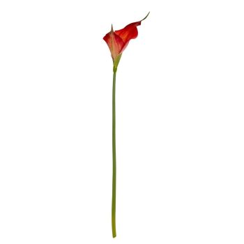 Fireball Calla Lily Artificial Flower - Plastic - H70 cm - Red