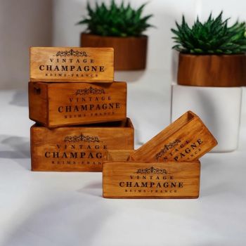 "Vintage Champagne" - Crate Planters (Set of 5) - Wood
