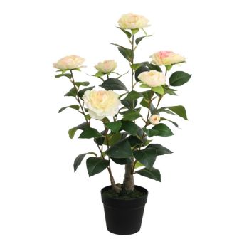 Artificial Camellia Plant - L50 x W50 x H58 cm