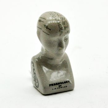 6 Inches Phrenology Head Ornament - L7 x W8 x H16 cm