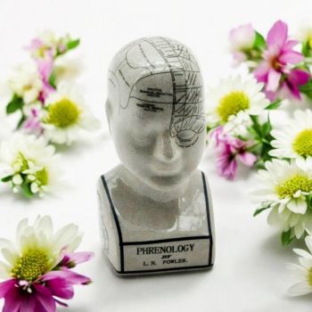 Phrenology Head Ornament - L9 x W11 x H25 cm