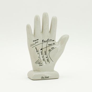 7 Inches Palmestry Hand Ornament - L6 x W8 x H17 cm