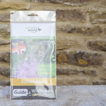 Mini Guide to Bumblebees with Wildflower Seeds