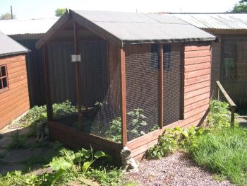 Buttercup Outdoor Bird Aviary with Flight area and housing, Apex roof Pet Cage