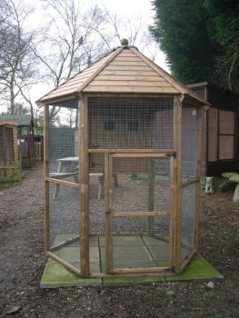 Buttercup Hexagonal Outdoor Bird Aviary 6' diameter with nesting box