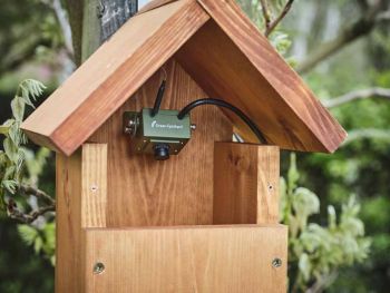 Deluxe Alpine 300 Chalet Style Birdbox with Single Front Design