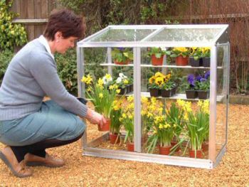 Optional Glass Back for Harlow 3 Feet 4 Inches Lean to Mini Greenhouse - Black