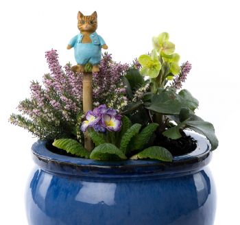 Beatrix Potter Tom Kitten Cane or Stake Topper (CCBP0007C) - L5.5 x W3.5 x H9 cm