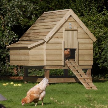 Large Chicken Coop - Timber - L119.5 x W158 x H160 cm