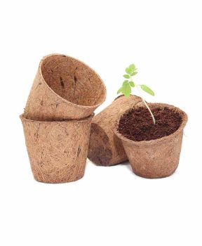 Coir Pots - Pack of 20 - Fibre/Latex - H10 cm