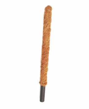 Grow Poles - Fibre/Wood - L5 x W5 x H60 cm