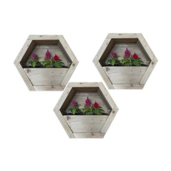 Medium Hanging Wooden Hexagon Wall Planter (Set of 3) - L16 x W44 x H38 cm - Fully Assembled