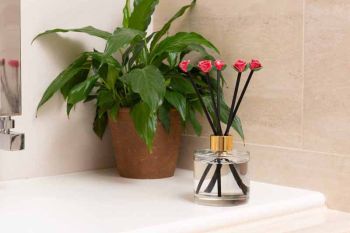 Diffuser Decor - Roses Range
