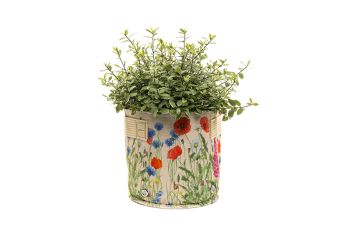 Iona Buchanan Meadow Fabric Eco 23L Pots - L45 x W45 x H27 cm - Cream