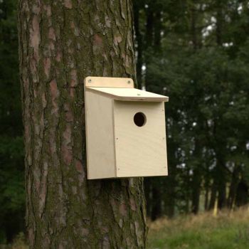 Bird Box Kit Open fronted - Plywood - L15 x W13 x H23 cm