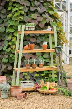 Verdi Plant Shelf