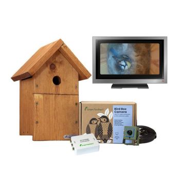Cable Connection 1080p HD Camera and Small Wooden Bird Box Starter Pack