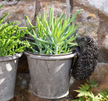 Hedgehog Plant Pot Hanger