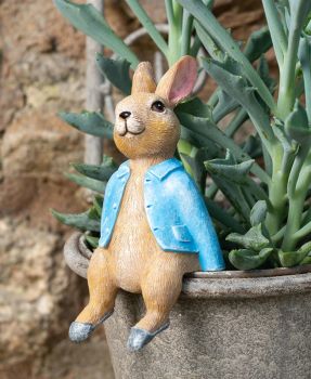 Beatrix Potter Peter Rabbit Sitting Plant Pot Hanger - L10 x W5 x H5.5 cm