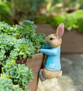 Beatrix Potter Peter Rabbit Hanging Plant Pot Hanger - L11 x W4 x H5.5 cm