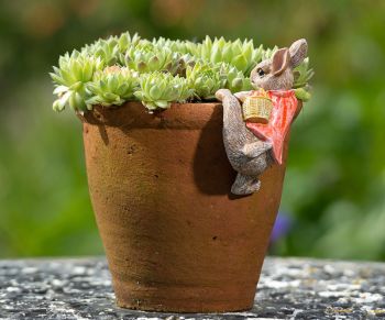 Beatrix Potter Flopsy Bunny Plant Pot Hanger - L11.5 x W6 x H6 cm