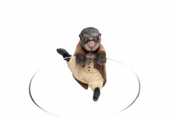 Full Colour Mole Plant Pot Buddy - L11 x W7.5 x H5.5 cm