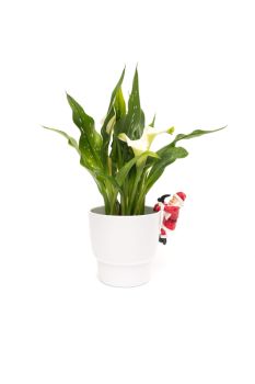 Full Colour Father Christmas Pot Buddy - L10.5 x W7.7 x H5.8 cm